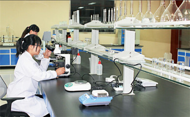 英科醫療再獲麥克森大獎，引領醫療器械互聯網信息服務新篇章