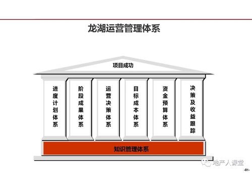 龍湖企業(yè)管理與運(yùn)營(yíng)精細(xì)化管理探析
